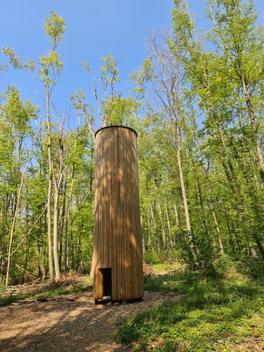 Der Waldpavillon