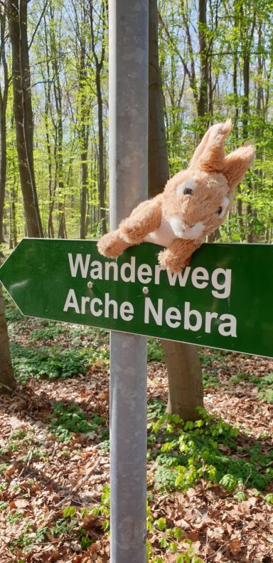 Auf dem Weg zum Fundort ...